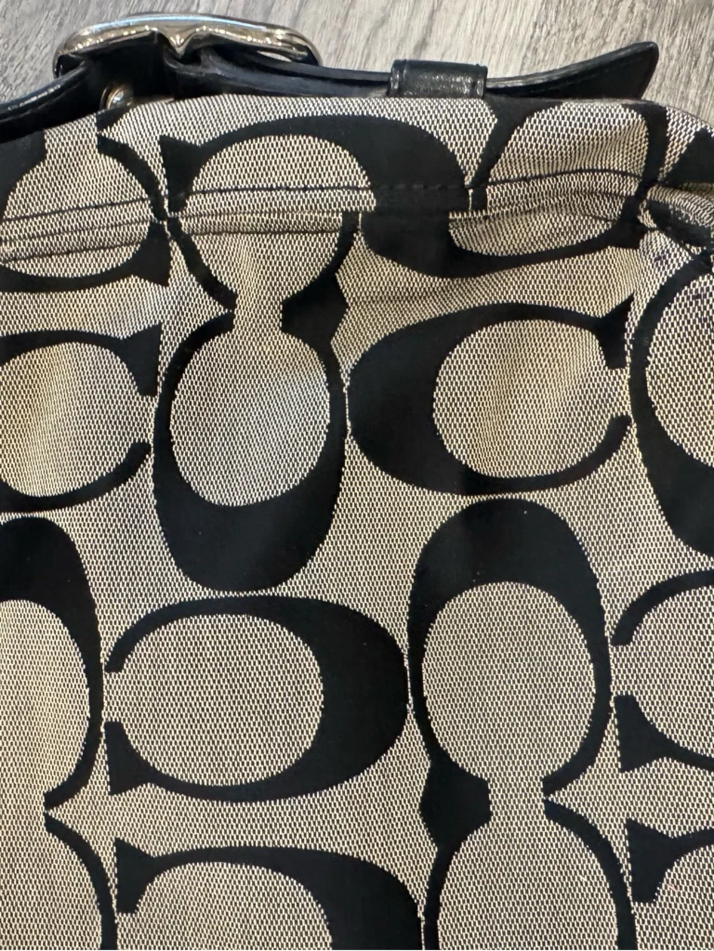 Coach Vintage Signature Y2K Hobo Bag